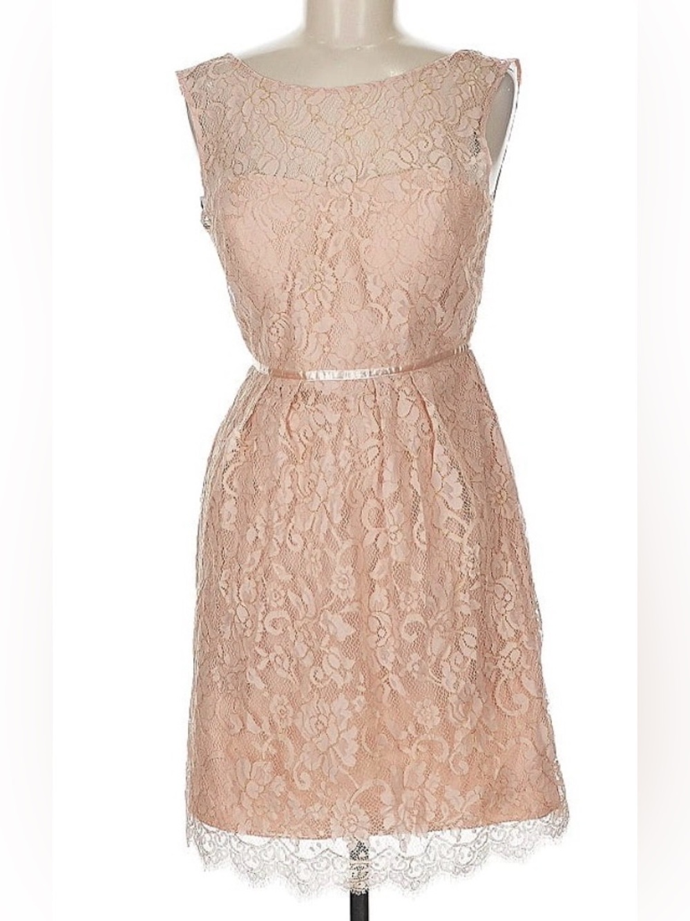 Jenny Yoo Blush Lace Sleeveless Mini Dress Size 6